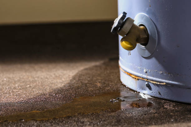 Best Flood restoration services  in Anderson Island, WA