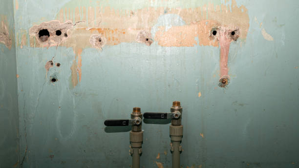 Best Fire Damage Restoration  in Anderson Island, WA