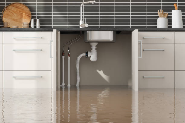 Anderson Island, WA Water damage restoration Company