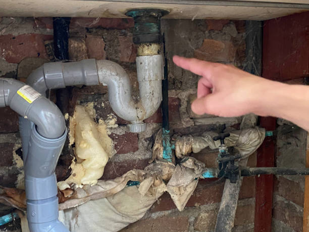 Best Ceiling water damage repair  in Anderson Island, WA